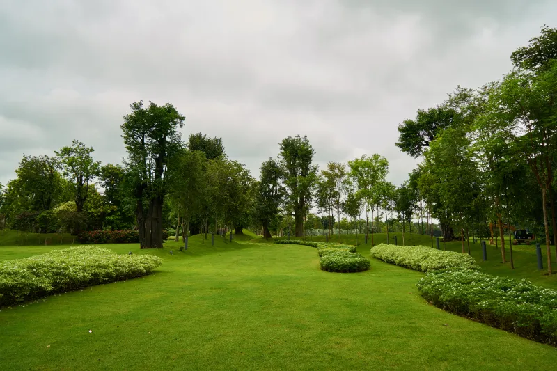 Landscaped Garden